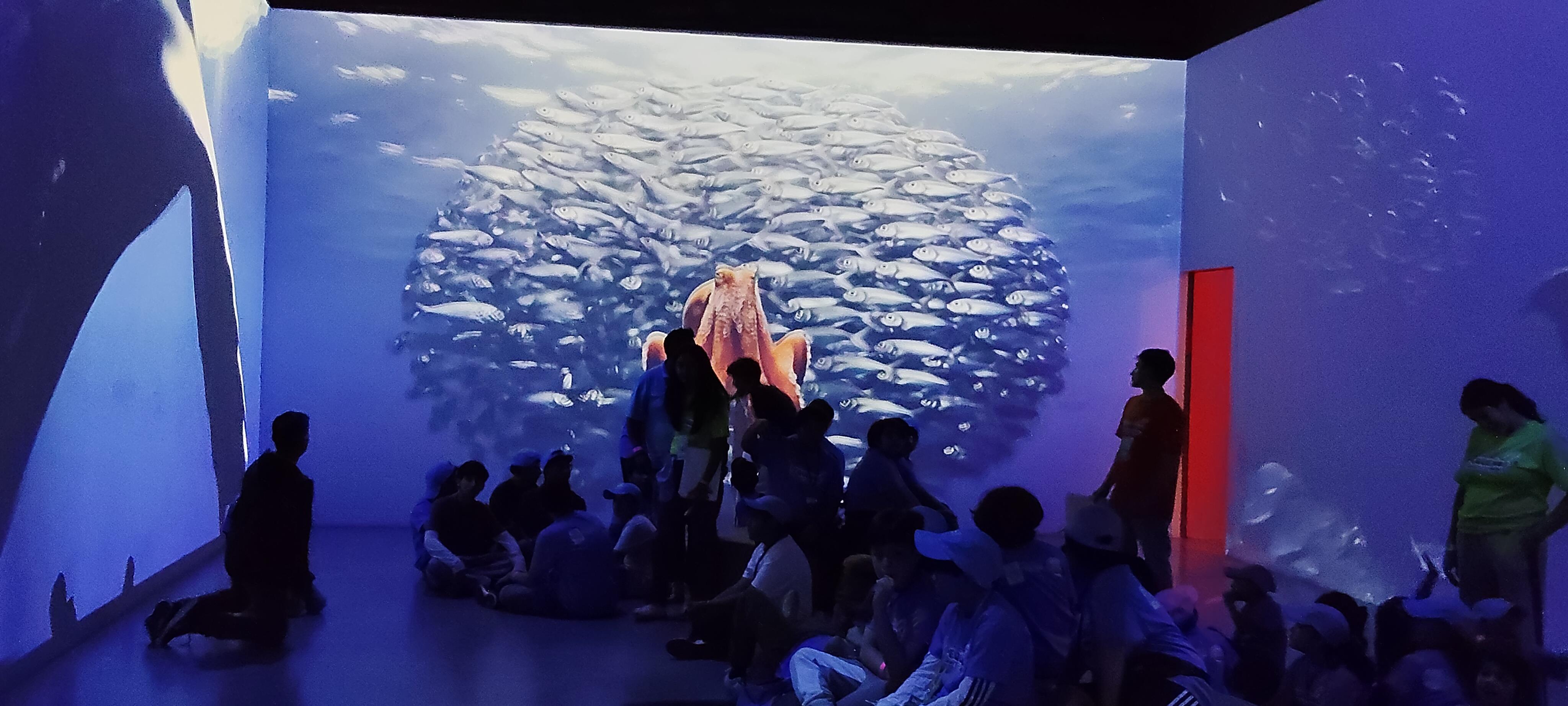 Curso de verano SNTISSSTE, Visita al Museo de Historia Natural